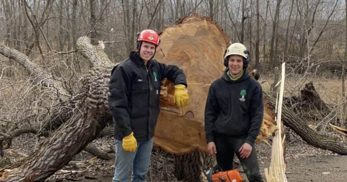 Tree Removal